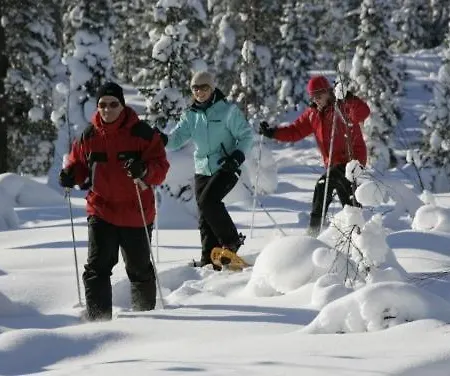 Karemajat Special Hytte *