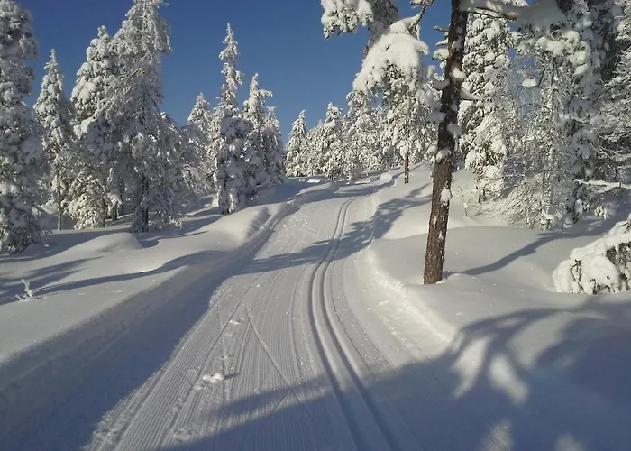 Karemajat Special Lodge